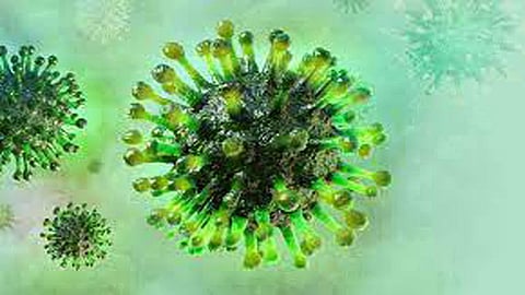 Covid virus