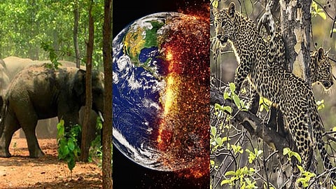 Climate change increasing human-animal conflict, says conservationists