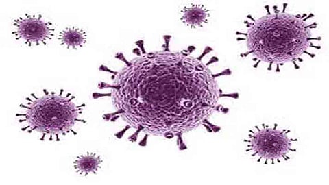 Covid virus