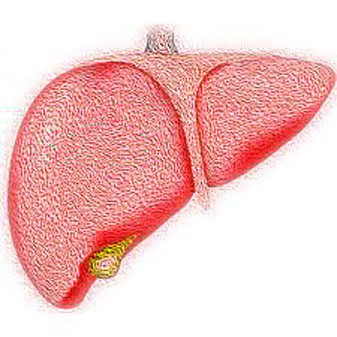 Death risk from liver disease twice as high in lower-income countries: Lancet study