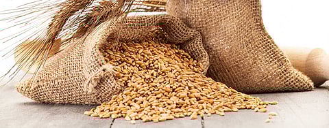 India's foodgrain production hits record 332.22 mn tonne in 2023-24: Govt