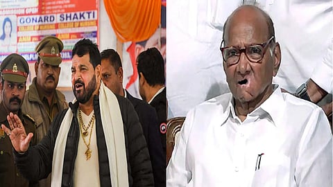 Satisfactory that probe against Brij Bhushan Singh has begun: Pawar