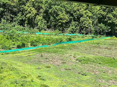 A patch of land in Nilambur handed over to the forest department.