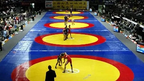 Gauhati High Court stays Wrestling Federation of India elections