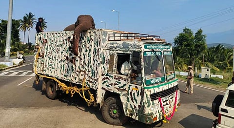 'Arikomban' under constant supervision by forest dept: TN govt