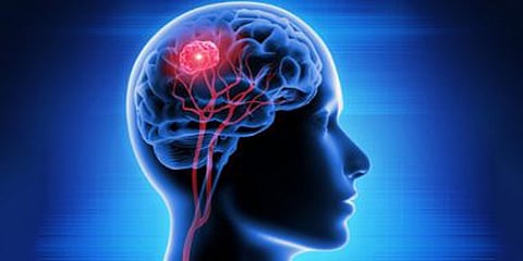 Rare brain infection caused by free-living amoebae reported in Kerala, says govt release
