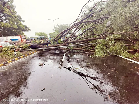 Incessant heavy rains continue in Kerala; normal life affected