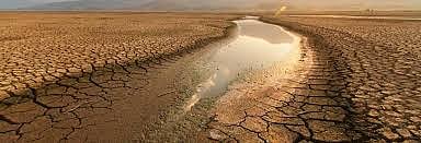 Parched Kerala foresees dark days, drought