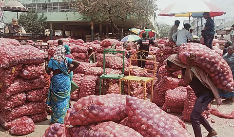 Onion export