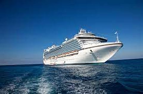 A 64-year-old Indian woman, who fell from a cruise ship into the Singapore Strait on Monday, has died, one of her sons said in a social media post.