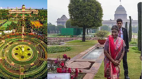 Amrit Udyan (Mughal Gardens)