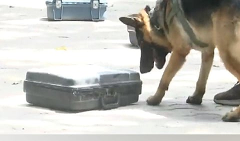 G20 Summit: Delhi Police's dog squad conducts drills for detection of dummy explosives