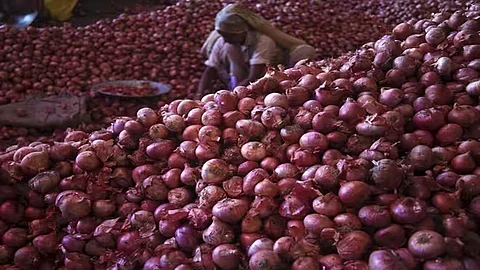 Onion