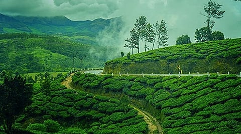 Kanthalloor village panchayat in Kerala bags Centre's 'Gold' award for Best Rural Tourism project