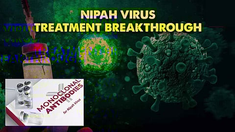 Monoclonal antibodies for Nipah infection