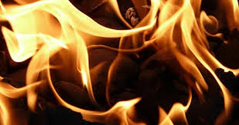 Bus carrying 23 passengers catches fire in MP's Vidisha; none hurt