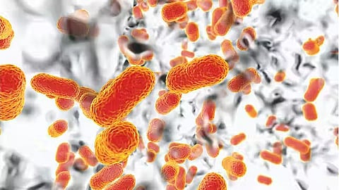 Drug resistant microbes