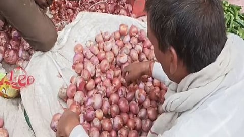 Government launches aggressive retail sale of onions at Rs 25 per kg