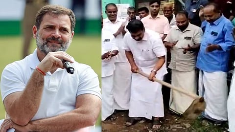 Congress M P Rahul Gandhi