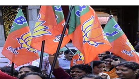The Mahila Morcha activists, Representative image