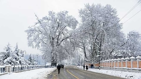 Chill grips Kashmir: Srinagar records coldest night of the season