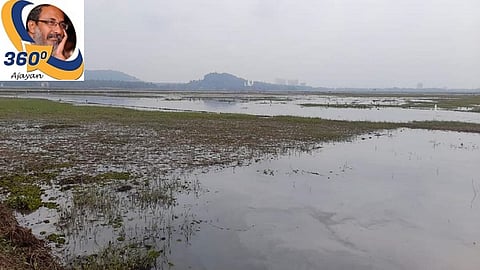koleland (wetland)