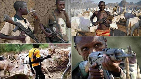 Nigeria crisis