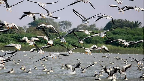 Magadi Kere Conservation Reserve, Karnataka