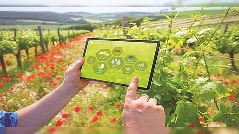 Modern farming