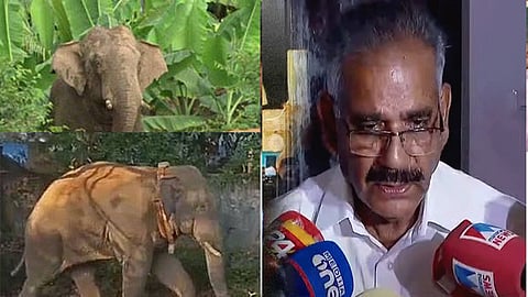 Kerala Forest Minister A K Saseendran