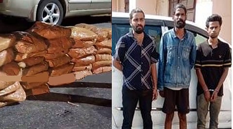 Drug bust, Thrissur, Kerala
