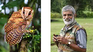 Ripley Owl, Dr R Sugathan