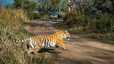 As conflicts and mercury rise, forest conservation on unprecedented crest
