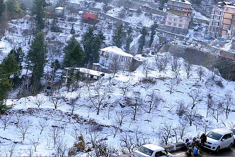 Snowfall and Rain Bring Relief to Uttarakhand Apple Growers