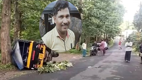 Wild boar attack caused autorickshaw accident, Shaffique (inset)