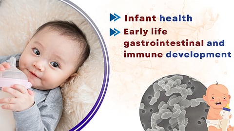 Bifidobacterium breve M-16V: Ideal Probiotic for Infant Health