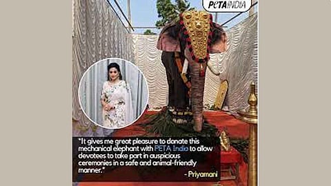 Mechanical elephant