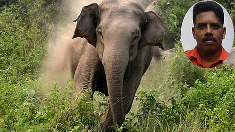 Wild elephant attack in Pathanamthitta, Kerala. Biju (inset)