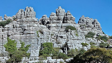 Inorganic carbon deposits as lime stone rocks