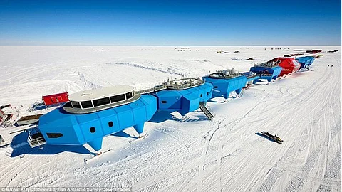 Life in Antarctica
