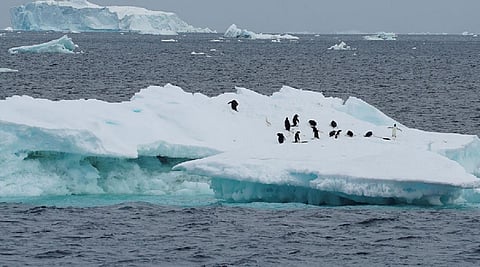 Antarctica's record-low sea ice levels of 2023 winter made 4 times more likely by warming: Study