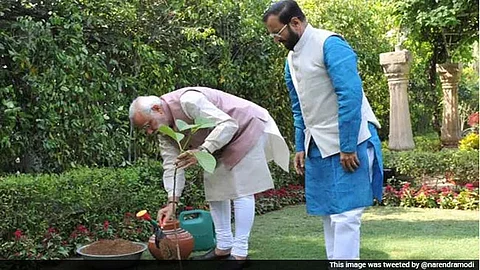 PM Modi launches tree plantation campaign