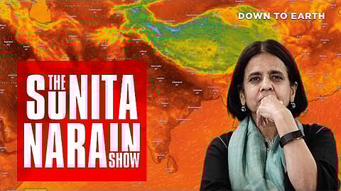 Environmentalist Sunita Narain