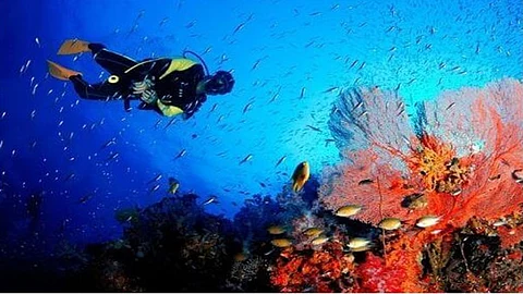 Andaman and Nicobar Islands on the global diving destination list