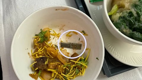 Blade-like object found in food of Air India flight to San Francisco; airline apologises