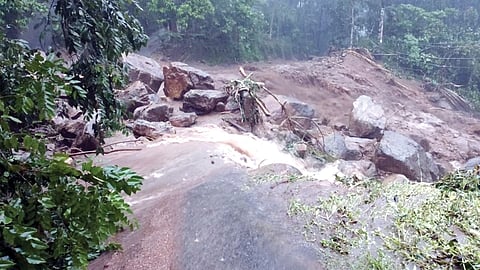 Rain deficient, but room for deluge and disaster left wide open