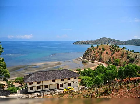 India to soon open embassy in Timor-Leste: MEA Secretary