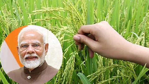 PM Narendra Modi to release 109 high yielding crops