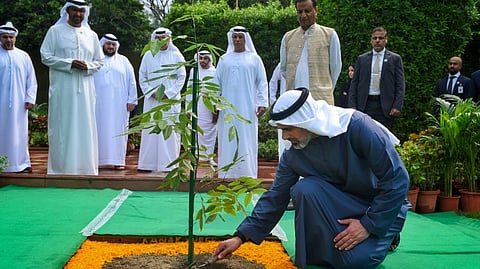 Sheikh Khaled bin Mohamed bin Zayed Al Nahyan, Crown Prince of Abu Dhabi, plants a sapling at Rajghat in New Delhi, Monday, Sept. 9, 2024.