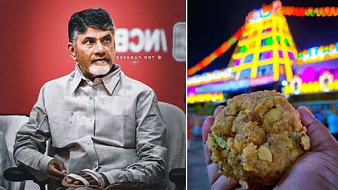 Andhra Pradesh Chief Minister N Chandrababu Naidu